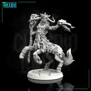(0113) Female centaur wizard sorceror druid with spell