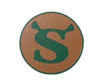 Shrek S Coaster