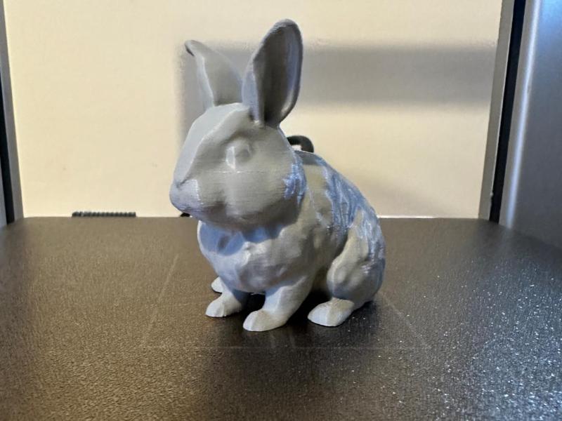 Rabbit
