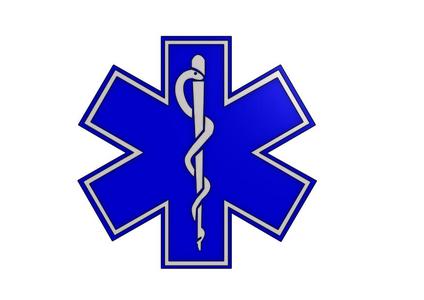 EMS Logo