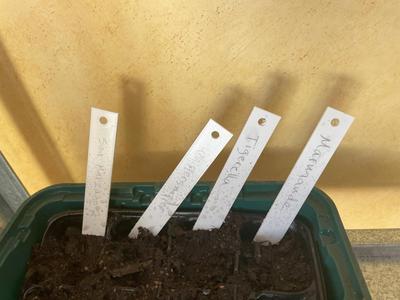 Plant Markers