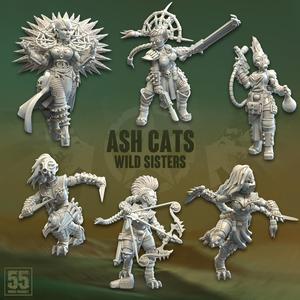 Ash Cats Wild Sisters