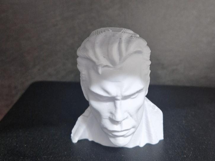 Terminator bust