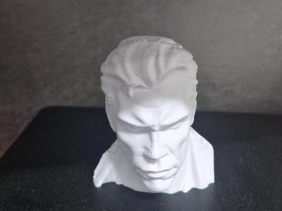 Terminator bust