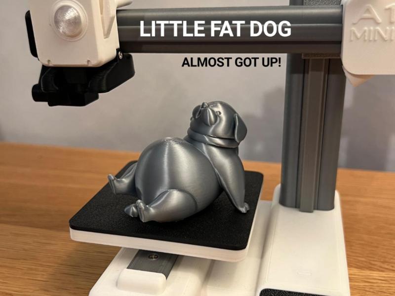 Little Fat Dog