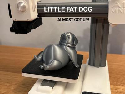 Little Fat Dog
