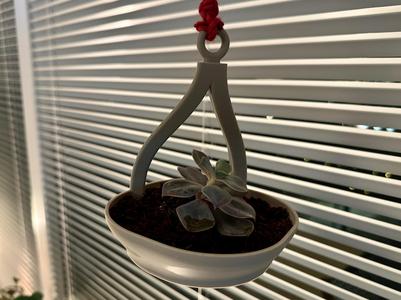 Beautiful minimalistic hanging pot for succulents
