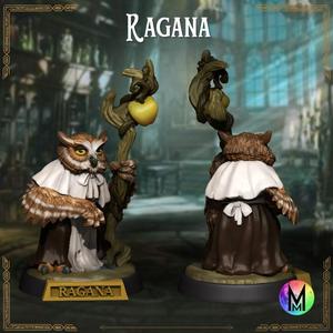Aarakocra female wizard - Ragana the Wize (Female birdfolk wizard or druid )