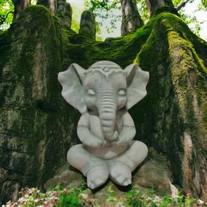 Baby Elephant Meditating