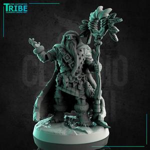 (0252) Male half troll shaman wizard sorceror with magic staff