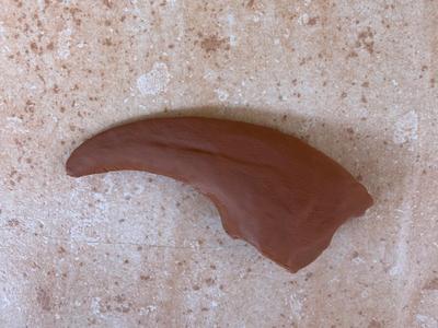 Claw Tyrannosaurus Rex 