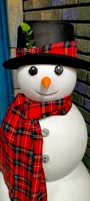 Carrot Nose for snowman