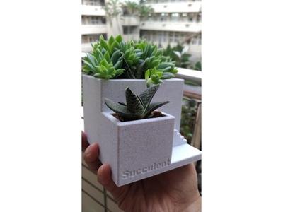 cement like succulent pot by orangeteacher