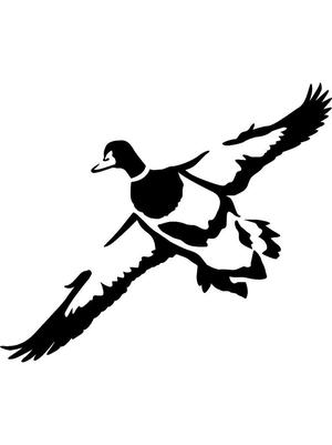 Flying Duck Stencil
