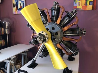 Le Rhône 9C engine scale 1