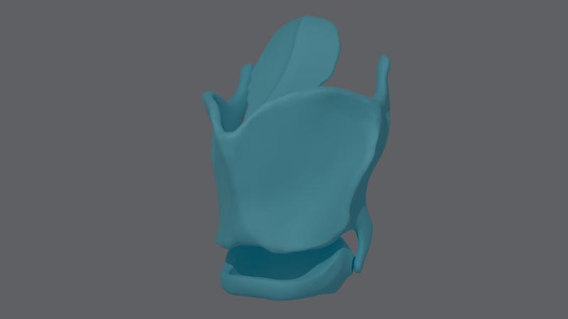 Larynx / Vocal Cord Cartilage (HighPoly)
