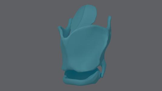 Larynx / Vocal Cord Cartilage (HighPoly)