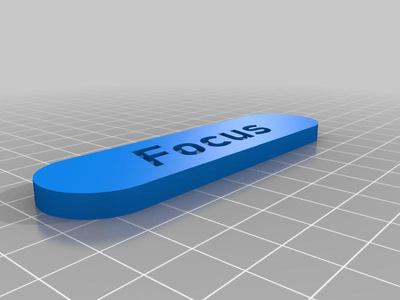 Ford Focus door mat emblem