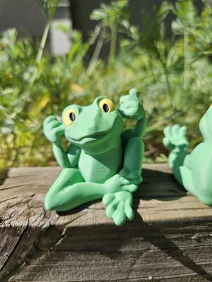 Hear No Evil Frog