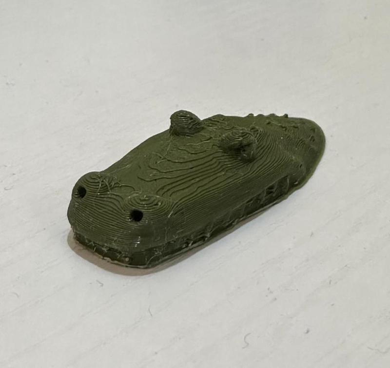 crocodile head