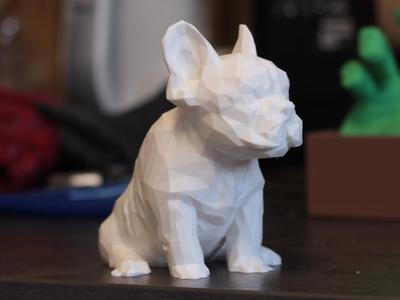 French Bulldog