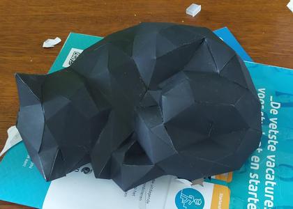 Polygonal Sleeping Cat