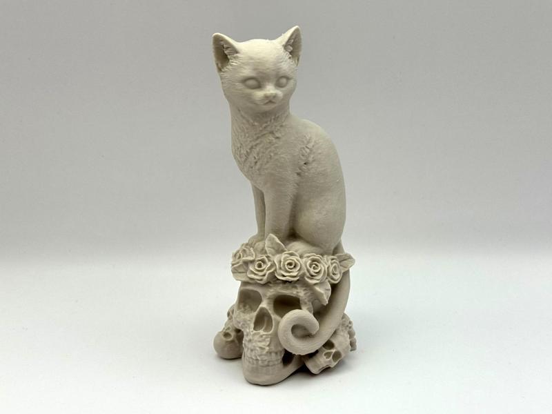 Mystic Cat on Skulls