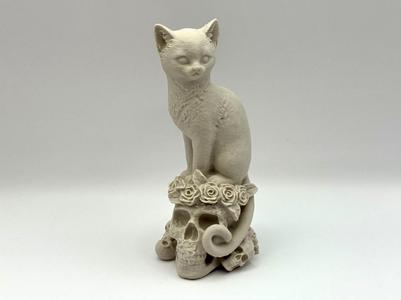 Mystic Cat on Skulls