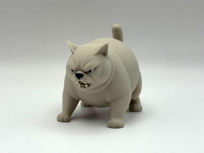 Angry Chonky Cat