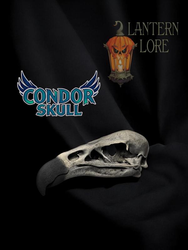 California Condor Skull (Pre Supported)