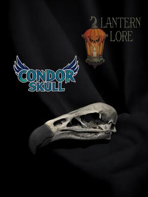California Condor Skull (Pre Supported)