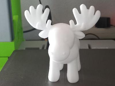 Adorable Moose