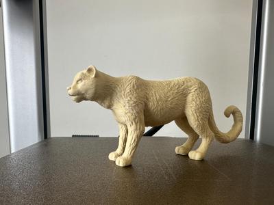 Mountain Lion