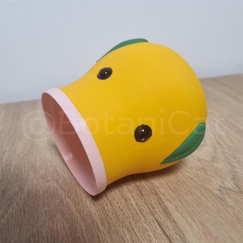 Planters & Co: Bellsprout
