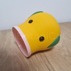 Planters & Co: Bellsprout