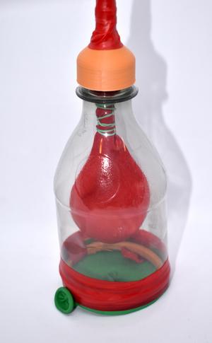 Lungs and Diaphragm Model