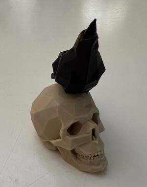 Low Poly Skull & Fused Raven