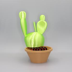 Cactus Nintendo switch cartridge holder