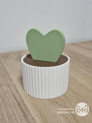 BotaniCat_Succulets_Box-Hoya Kerrii.stl