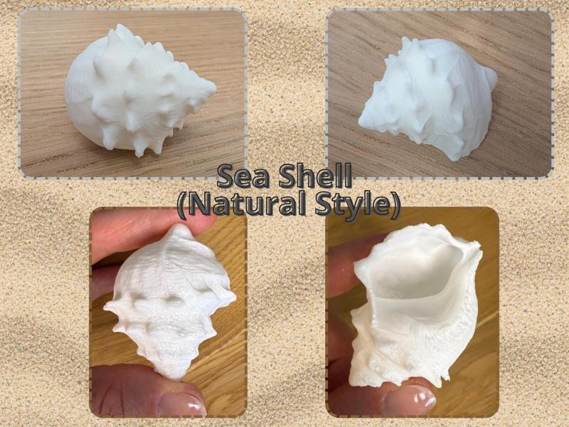 Sea Shell (Natural Style)