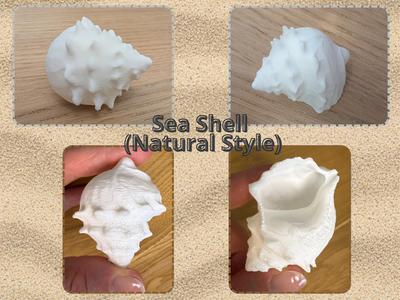 Sea Shell (Natural Style)