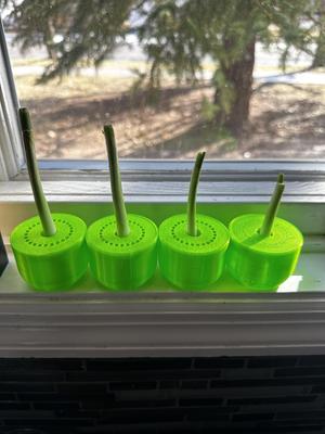 Propigation Station Pot