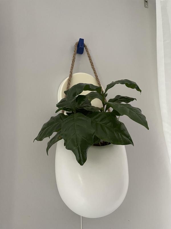 Wall hook optimized for printing/ Wandhaken 3D Druck optimiert