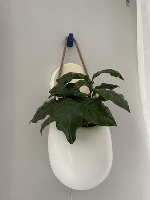 Wall hook optimized for printing/ Wandhaken 3D Druck optimiert