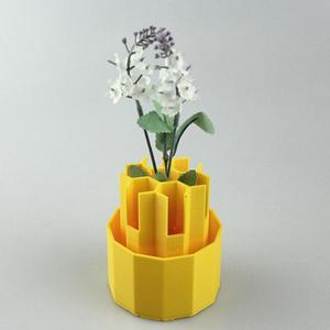 Scallion Regrower (flowers vase)