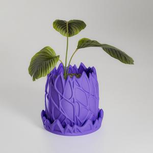 Dragon planter