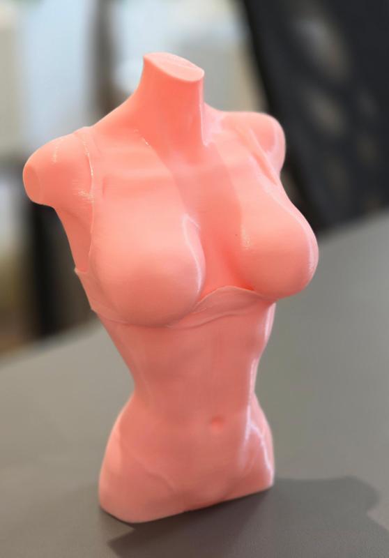 sculpture: sexy model female body in lingerie, slim with big breasts, anatomical delata