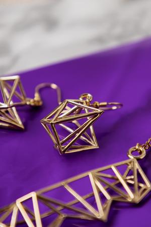 Trussed Earrings