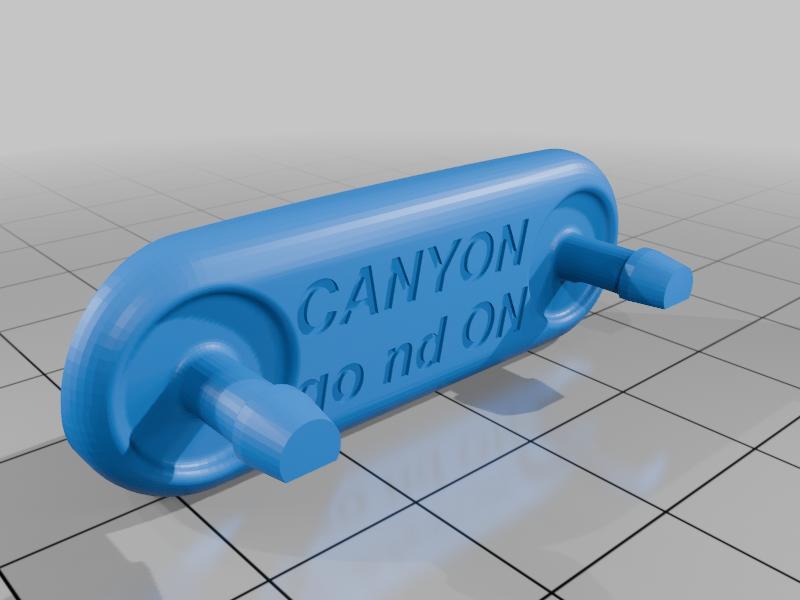 Canyon Spectral ON bottle Cage plug