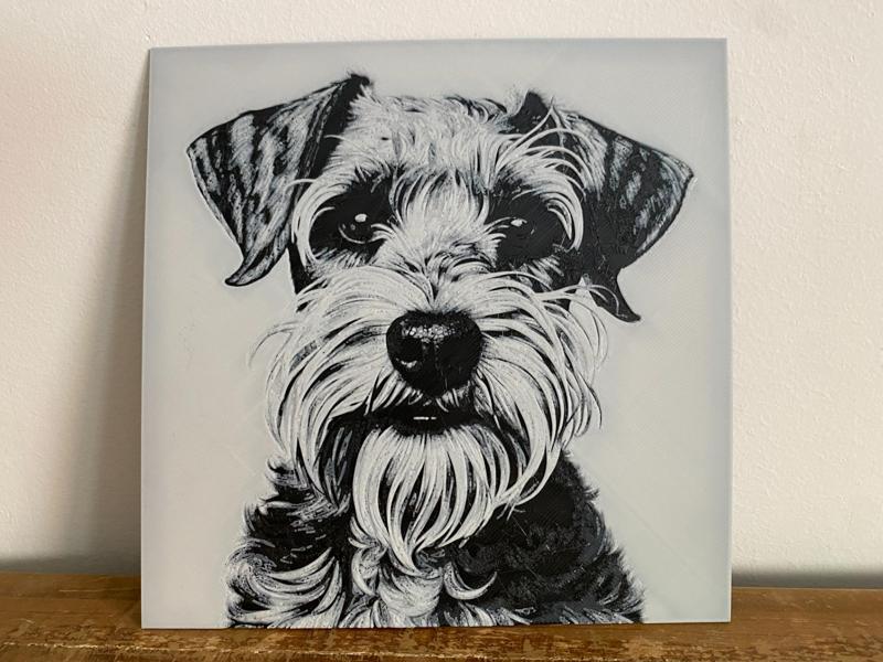 Schnauzer Hueforge